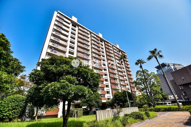 鴨池ニュータウンサンハイツ３号棟