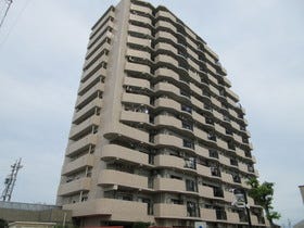 概観画像