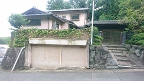 概観画像