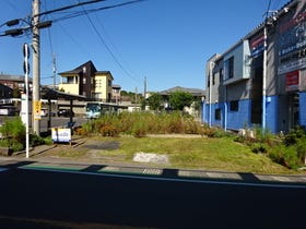 概観画像