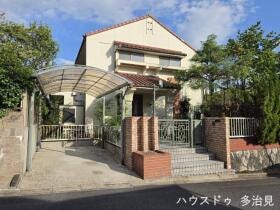 概観画像