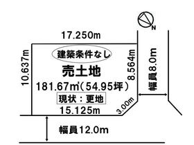 概観画像