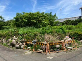 概観画像