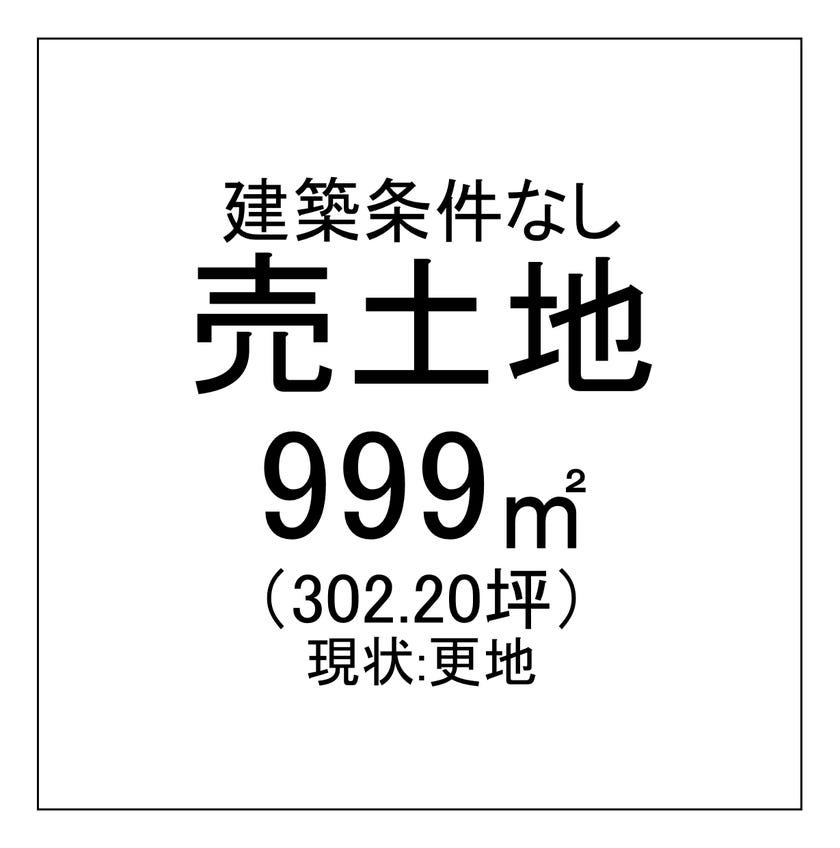 【区画図】
土地面積広々999㎡！
建築条件がないので、お好きなハウスメーカー・工務店をお選びいただけます♪