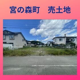 概観画像