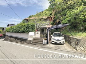 概観画像