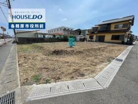 概観画像