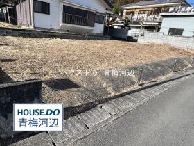 概観画像