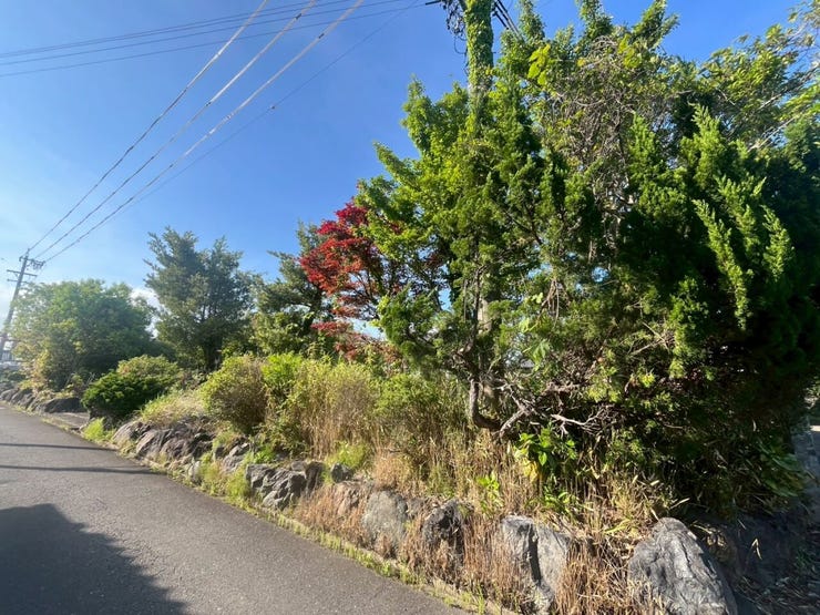 ◆解体更地渡し
◆角地、陽当たり良好
【南東側からの撮影】