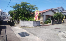 概観画像