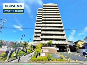 概観画像