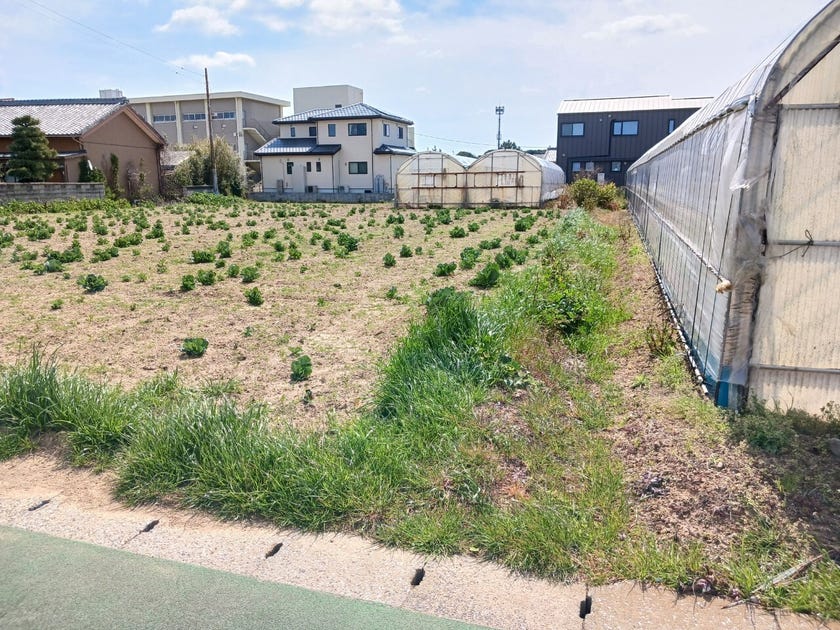 愛知県田原市赤羽根町 土地160坪+広い古家・即住める離れ。旧