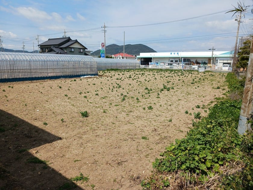 愛知県田原市赤羽根町 土地160坪+広い古家・即住める離れ。旧街道で閑静、海・学校・スーパー近し - その他