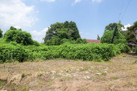 甲賀市水口町水口