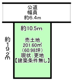 概観画像