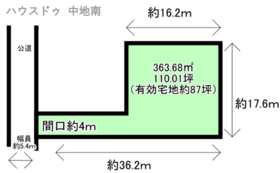 概観画像