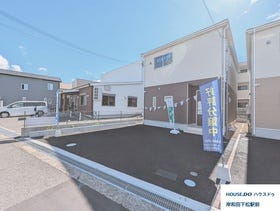 泉南市信達市場