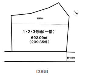 概観画像