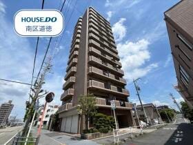 概観画像
