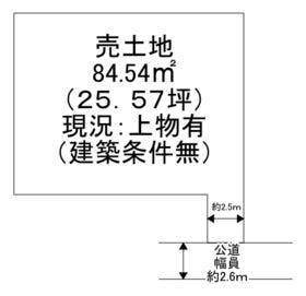 概観画像