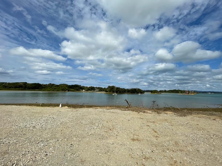 4区画全体写真です