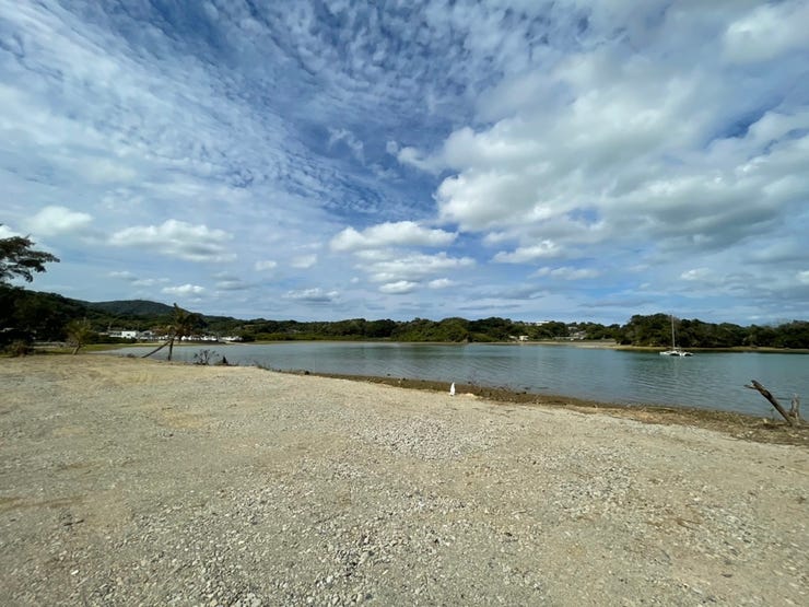 4区画全体写真です