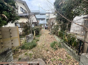 概観画像
