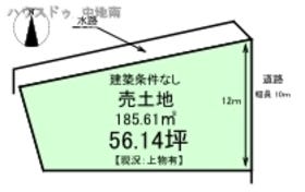 概観画像