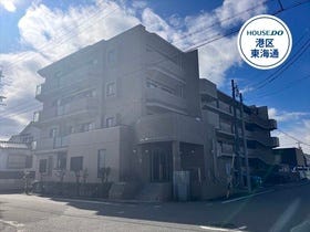 概観画像