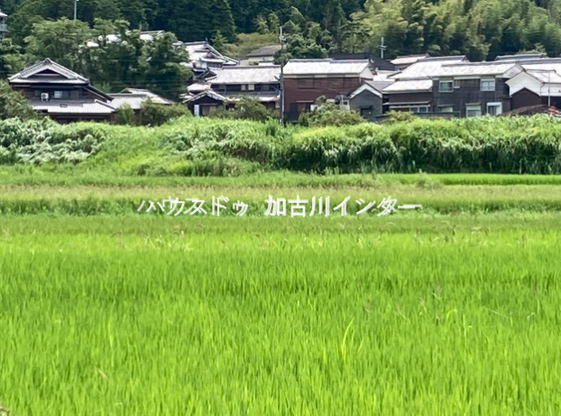 建物から徒歩2分~3分に売主様所有の田畑(別途賃貸契約など)もあり農作業(体験)もできます。
*今回の販売物件費用には含まれておりません。