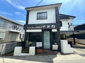 概観画像