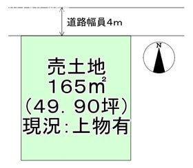 概観画像