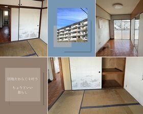 知多市つつじが丘２丁目