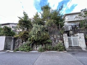 概観画像