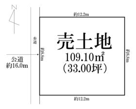 概観画像