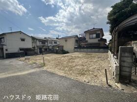 概観画像