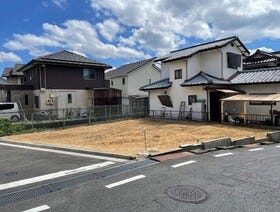 概観画像