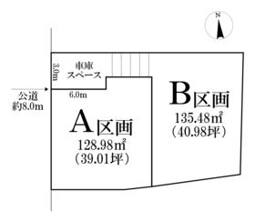 概観画像