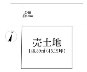 概観画像