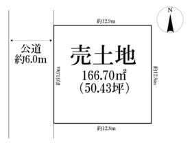 概観画像