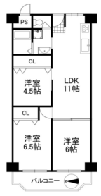 概観画像