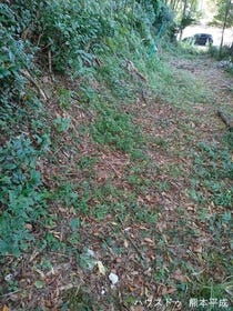 熊本市北区植木町岩野