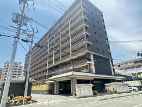 概観画像