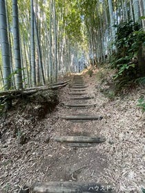 熊本市西区池田２丁目