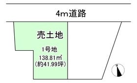 概観画像