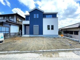 概観画像