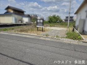 概観画像