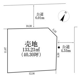 概観画像