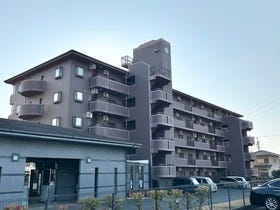 浜松市中央区楊子町