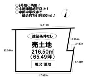 概観画像